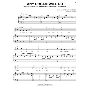 Any Dream Will Do